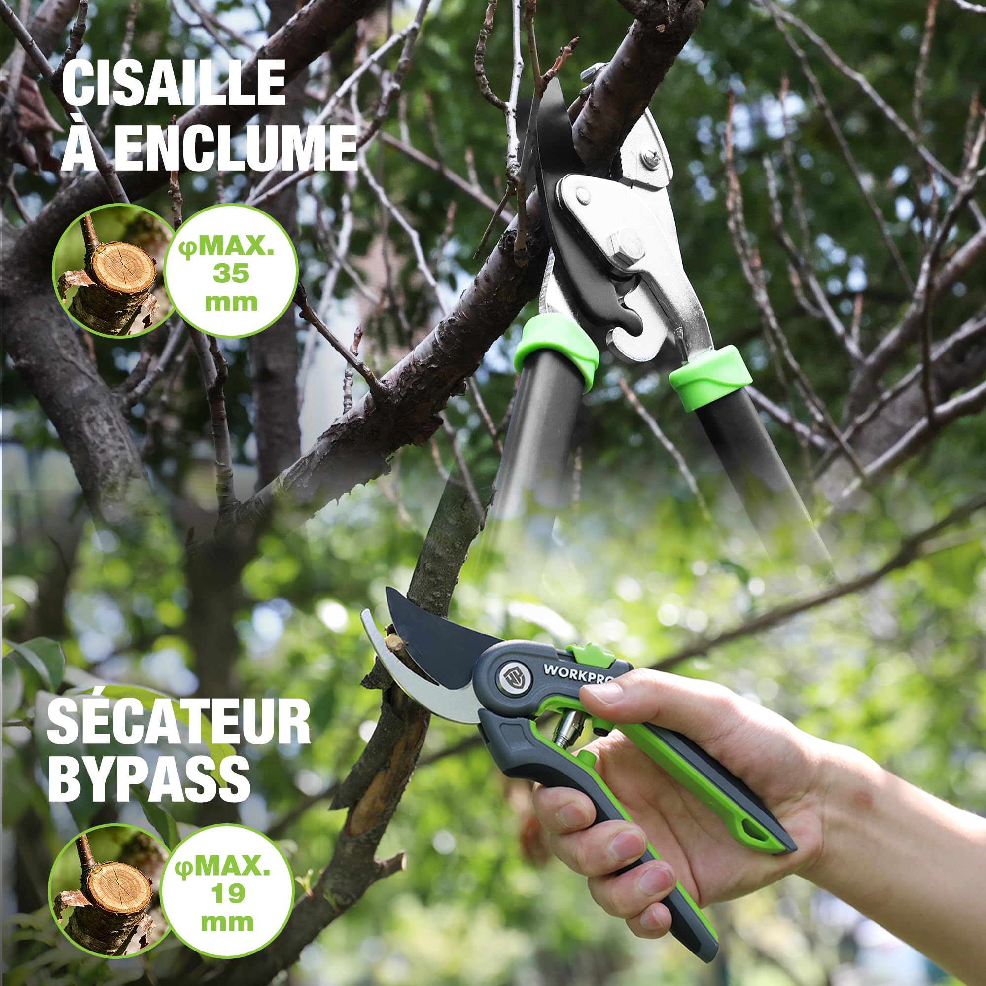 WORKPRO Set de 3 Cisailles de Jardin - Sécateur Bypass, Cisaille à Enclume et Cisaille à Haies - Kit Complet pour l'Entretien des Plantes
