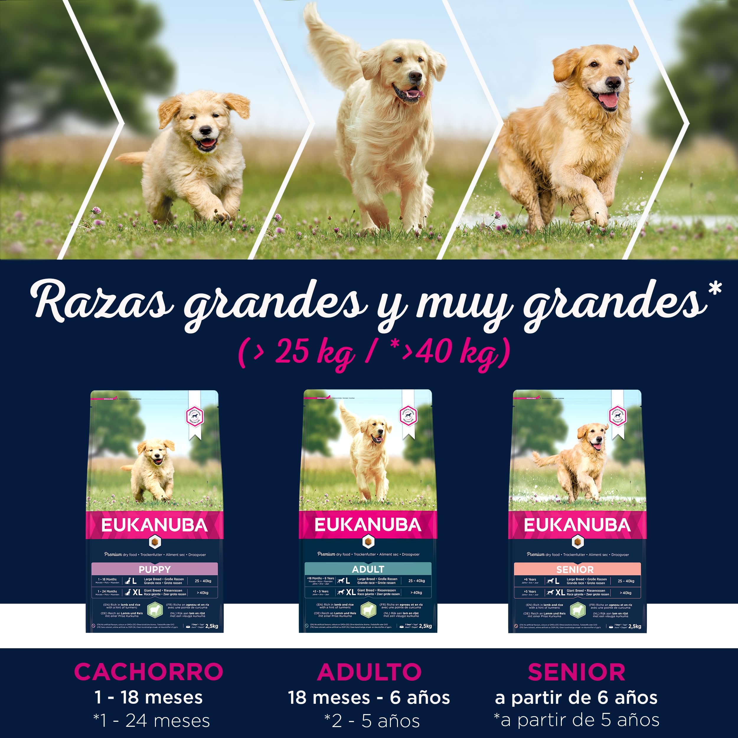 Eukanuba, alimento para Cachorros con Cordero y arroz para Razas grandes - Alimento seco Premium para Perros Junior, 12 kg
