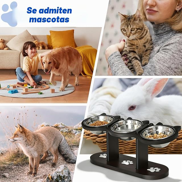 Foto 7 de 7 de GOMETY Comedero para gatos 3 en 1 elevado, juego de 3 comederos para gatos con 3 cuencos de acero inoxidable