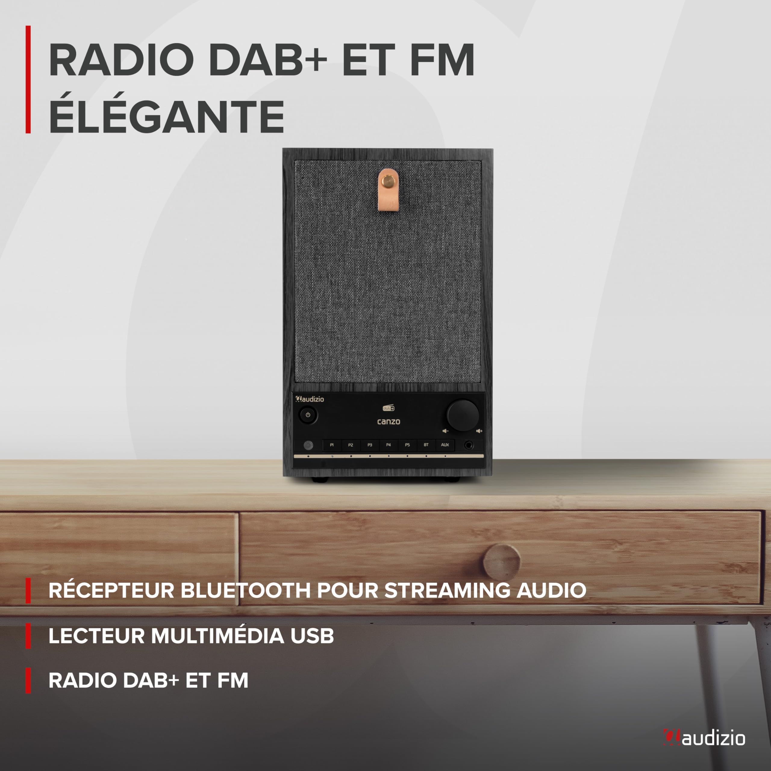 Audizio Canzo Radio Internet WiFi avec Dab/FM et Bluetooth - Gris, Radio au Design Rétro, Panneau Amovible, Écran LCD, Réveil, Télécommande Incluse, Idéale comme Radio de Bibliothèque