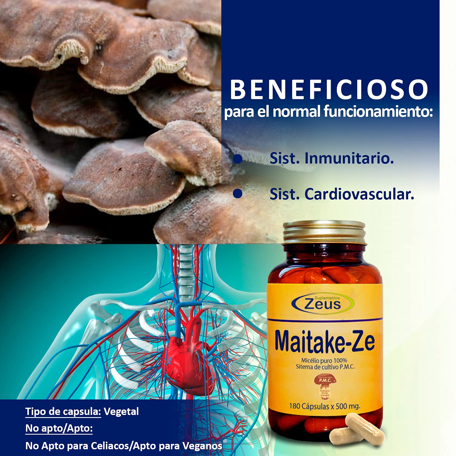 MAITAKE-ZE | contribuye al funcionamiento normal del sistema inmunitario | Complemento Alimenticio a base de Maitake y Vitamina C | 100% Vegano | 180 Cápsulas Vegetales