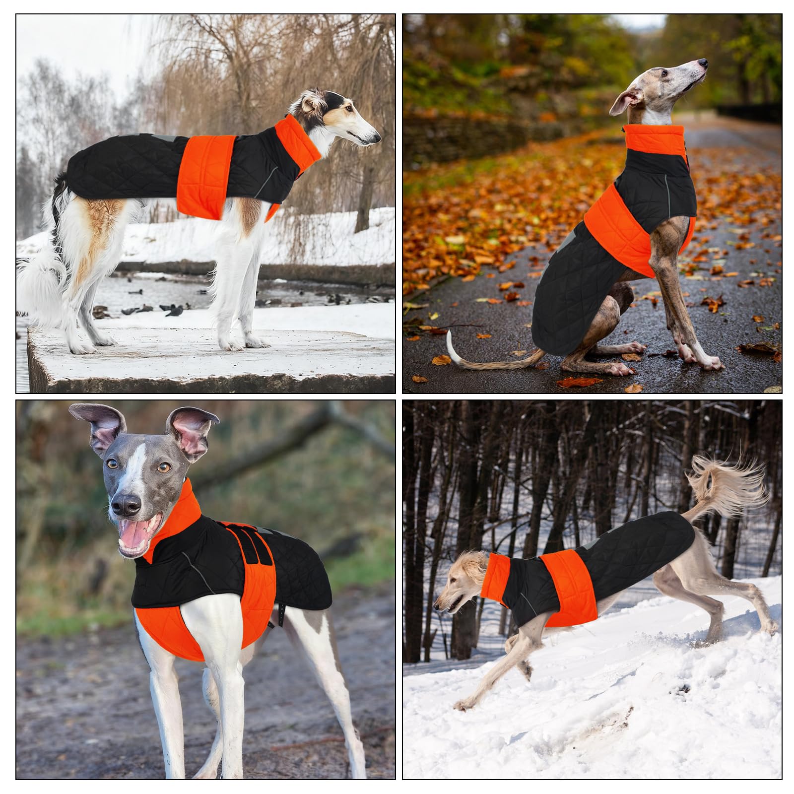 Manteau Levrier Imperméable, Manteau de Chien Grande Veste Chaude Chien Vêtement d'hiver Levrier Pull à Coupe-Vent pour Chiens