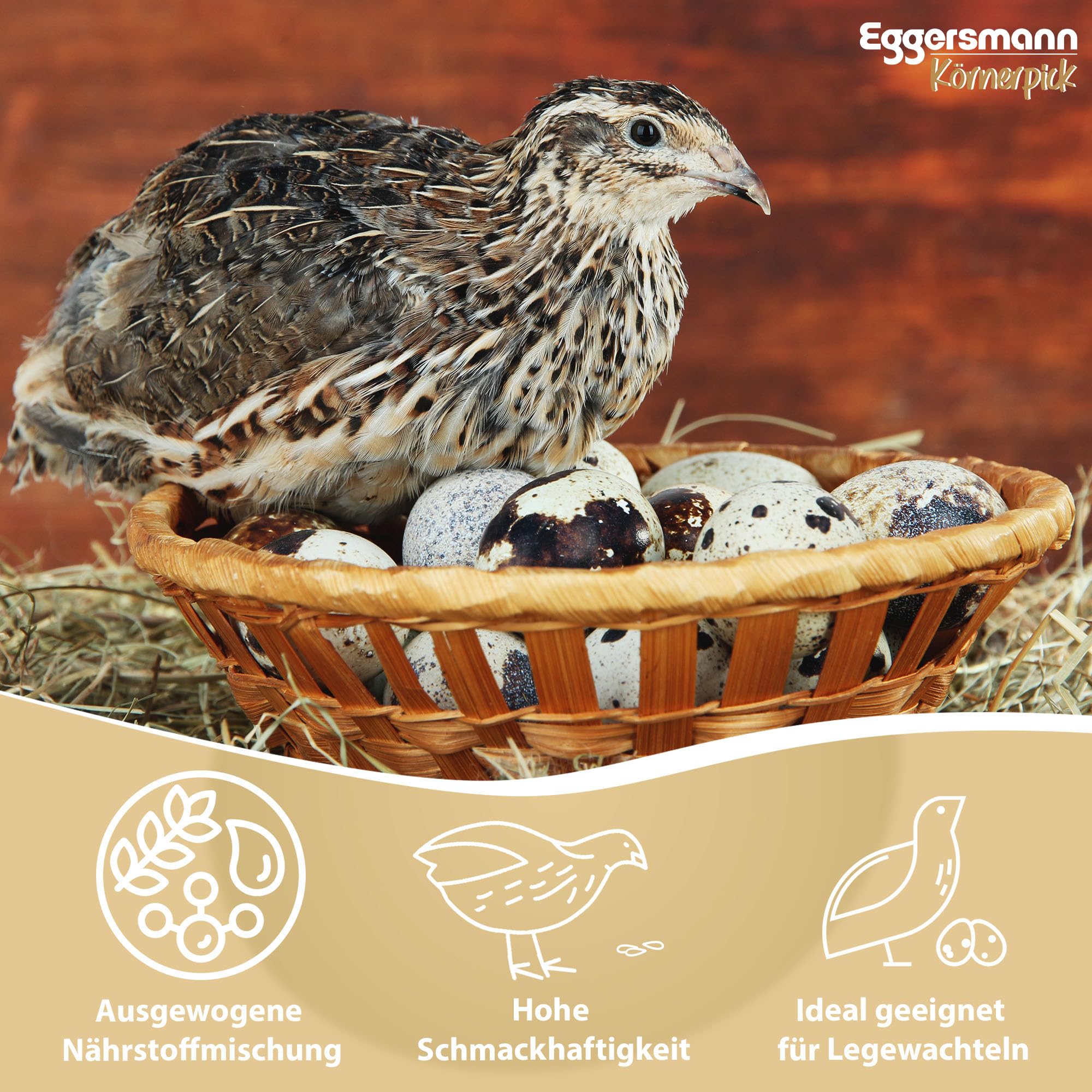 Eggersmann Körnerpick Wachtel Futter 10 kg – GVO-freies Alleinfutter für Wachteln –Schmackhaftes Wachtelfutter mit schnabelgerechter Körnung – Ausgewogene Körnermischung für Legewachteln