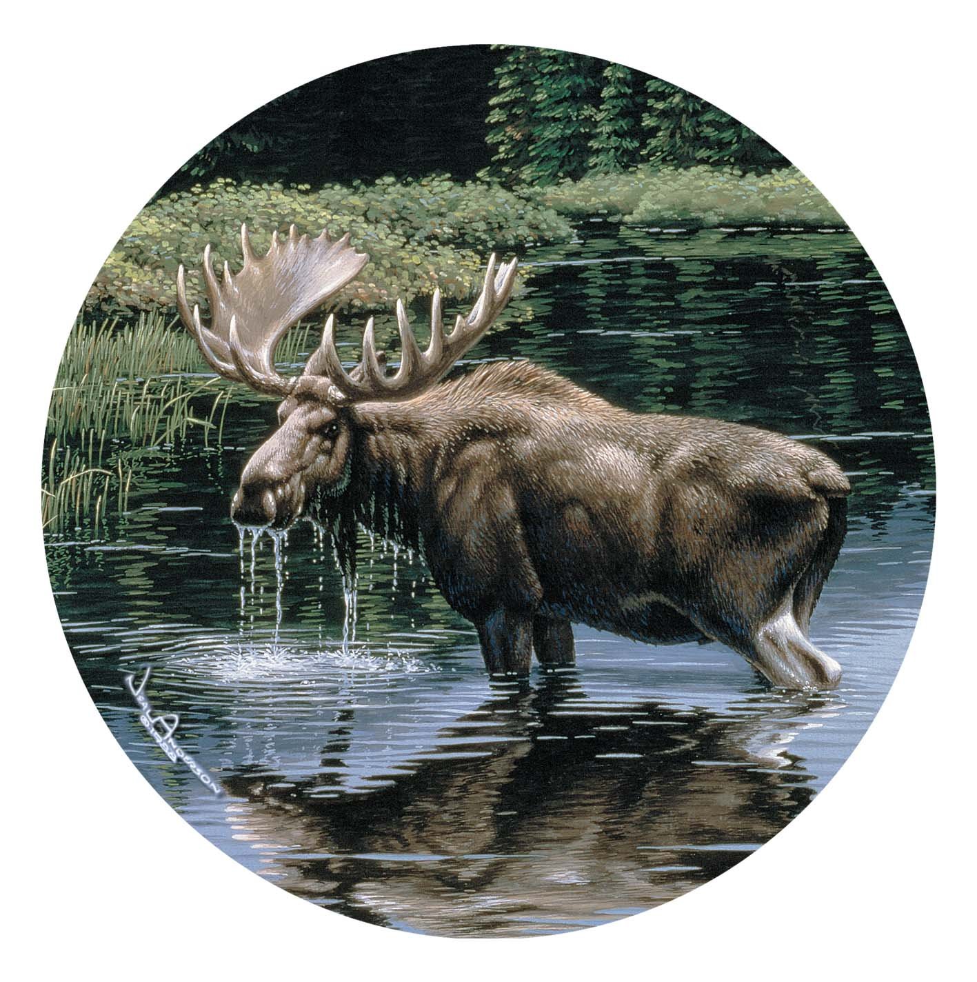 Thirstystone Stoneware Coaster Set, Moose in Stream