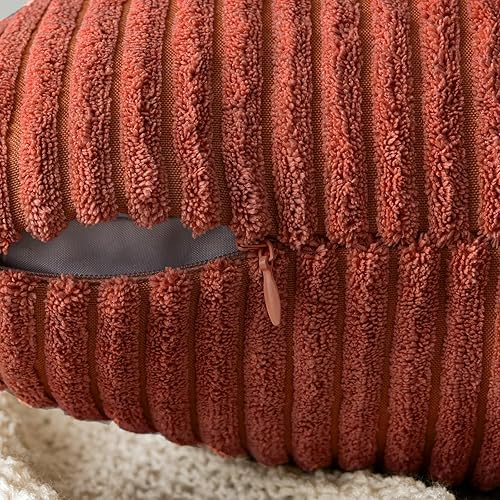 Miniatura 3 de EMEMA Juego de 2 fundas de almohada de pana decorativas de terracota otoñales suaves y cuadradas, fundas de almohada de primavera para sofá,