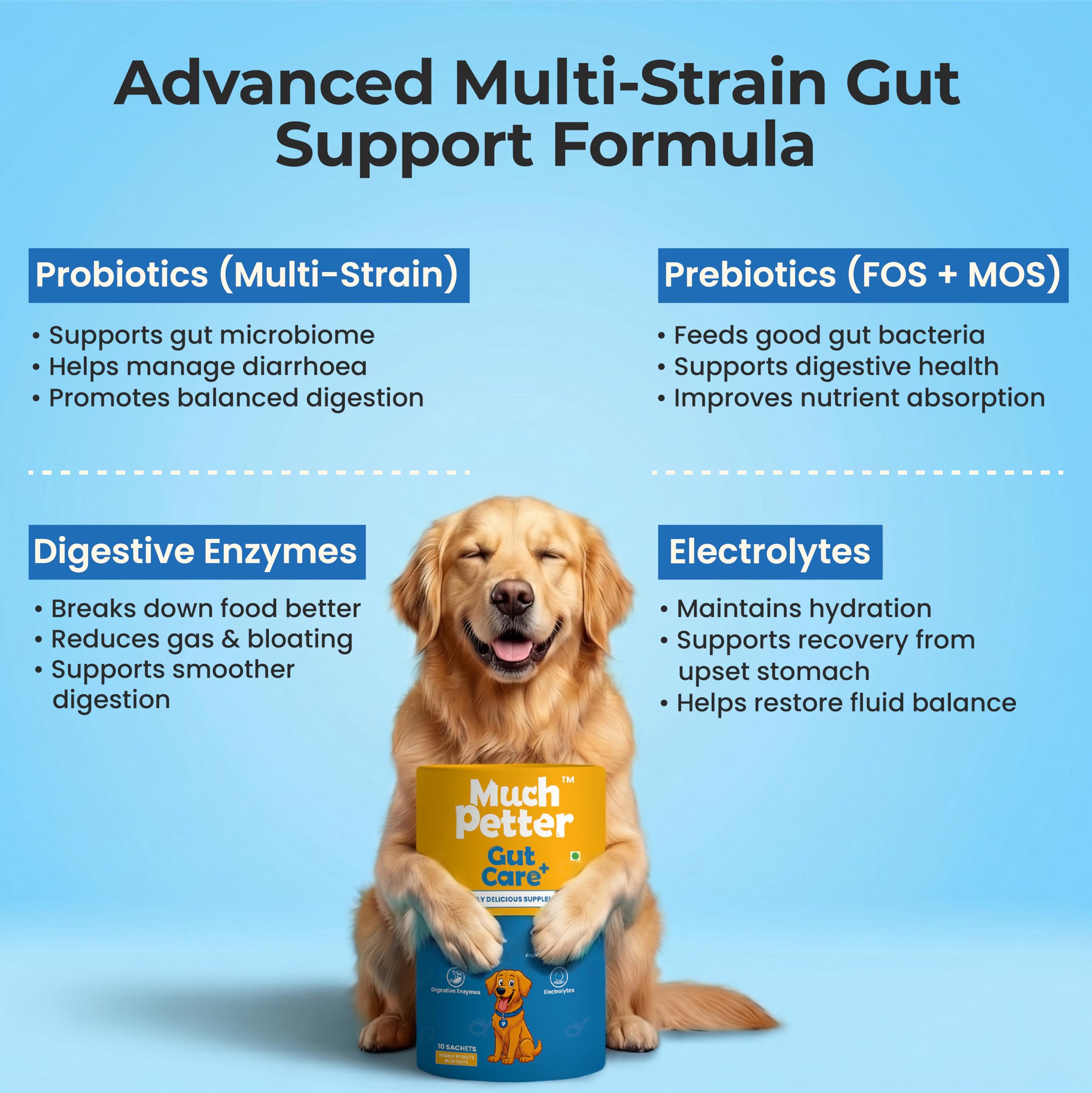 GutCare+, Gut Health-Gutwell Supplement, Probiotic & Prebiotic Digestive Powder for Dogs, Made with Human Grade Ingredients, 10 sachets (Pack of 1) — Amazon image 8