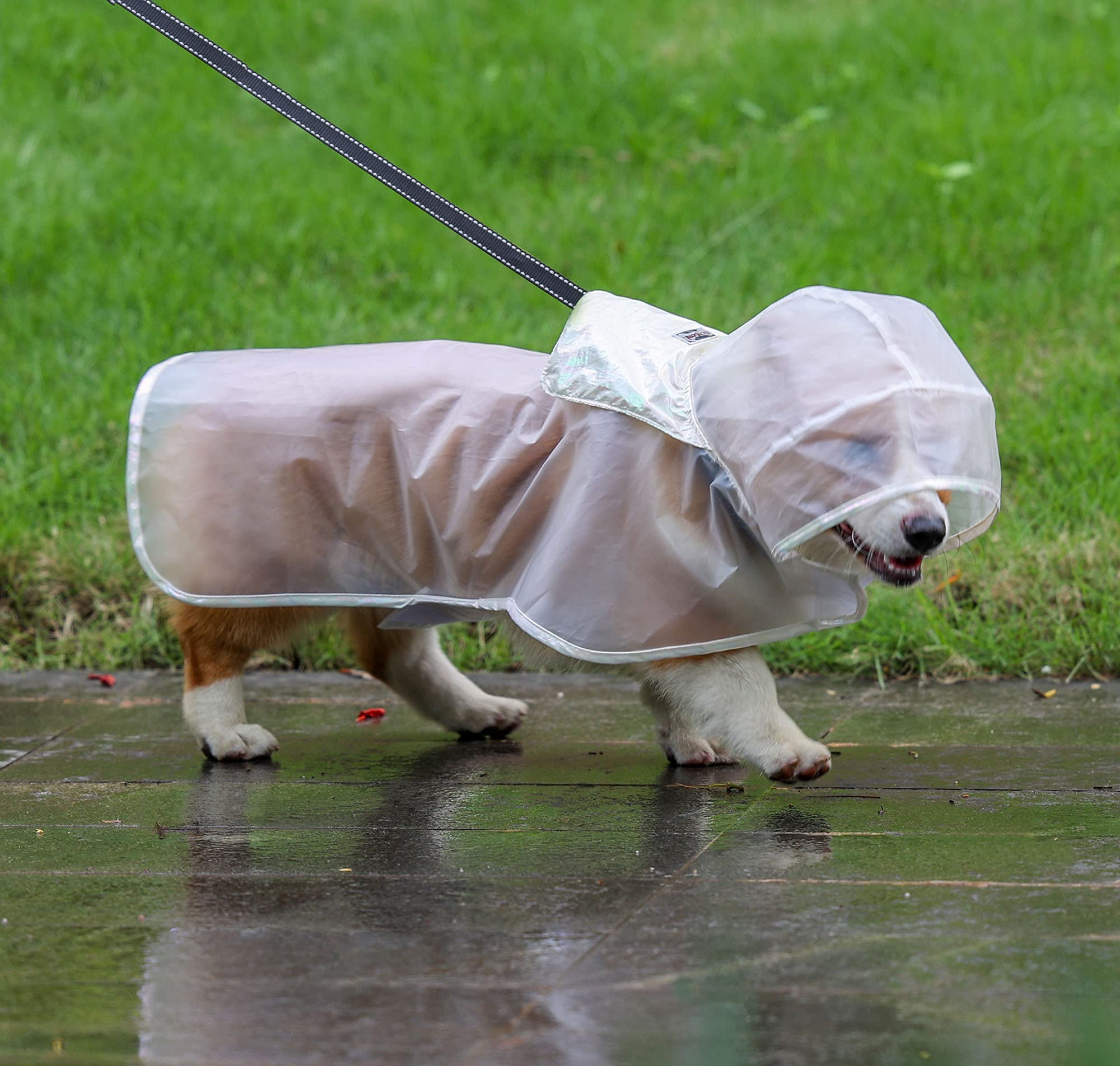 Imperméable pour Chien, léger et Respirant, Portable, Compressible, Transparent pour Chien, Veste de Pluie pour Chiots, Combinaison de Pluie, Poncho (L)