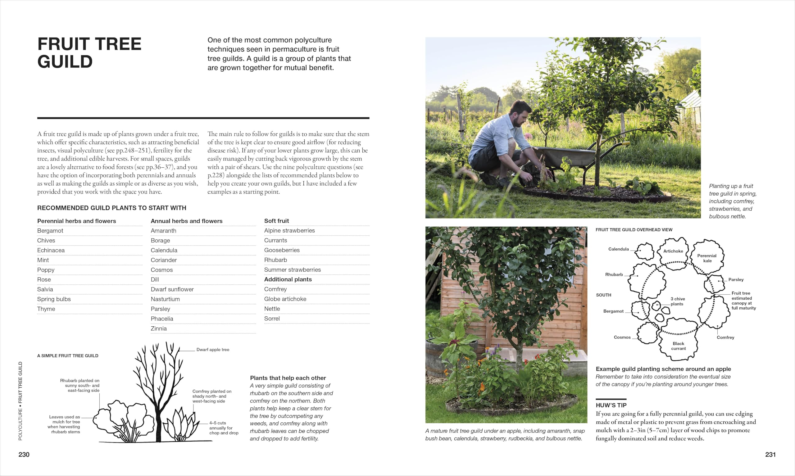 The Permaculture Garden: A Practical, Holistic Approach to Year-Round Harvests