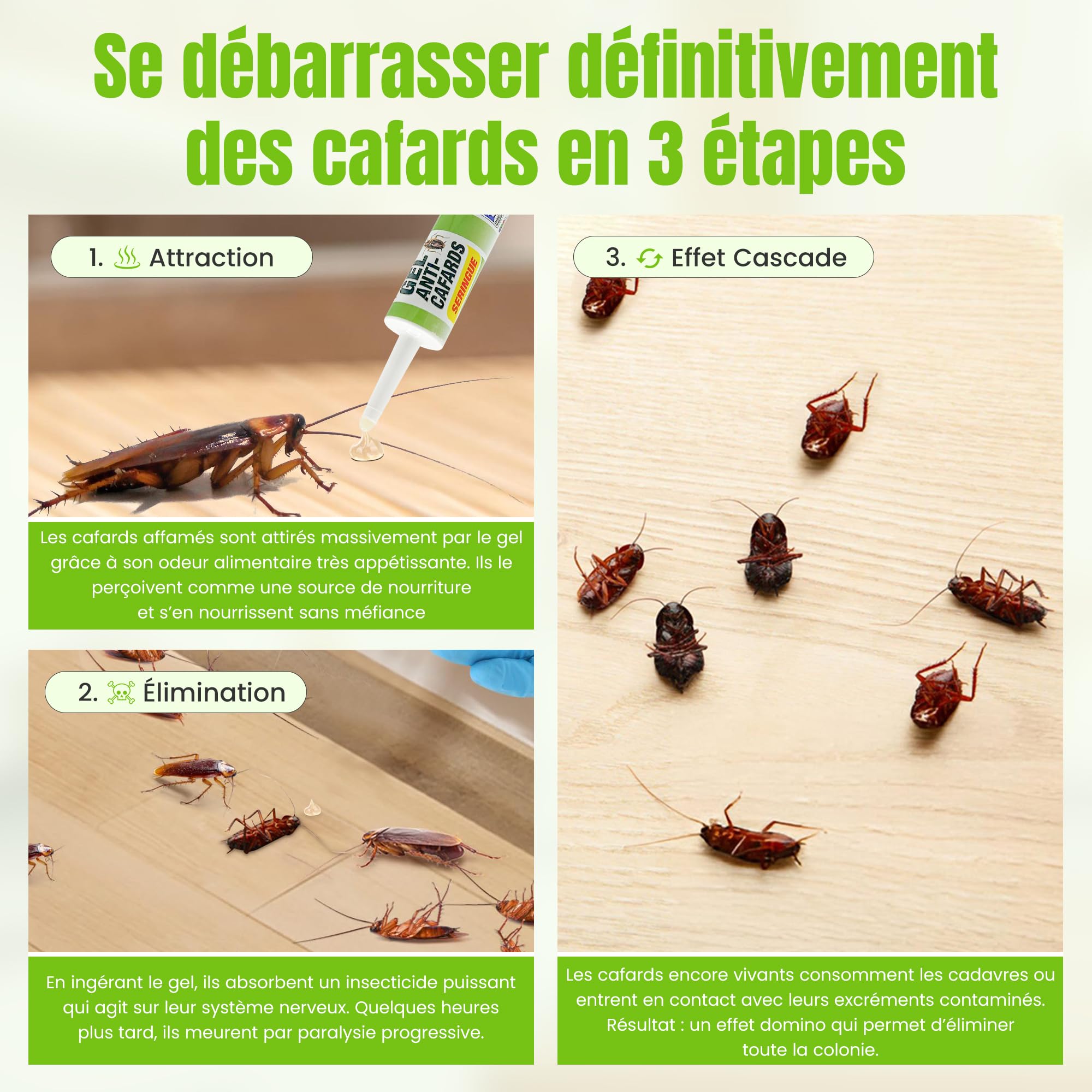 NOXIBLATTE 2000 Gel Anti Cafards 30g [Made in UE], Insecticide Blattes, Produit pour Blattes de qualité Professionnelle, Gel puissant en seringue, Appât idéal pour recoins difficiles