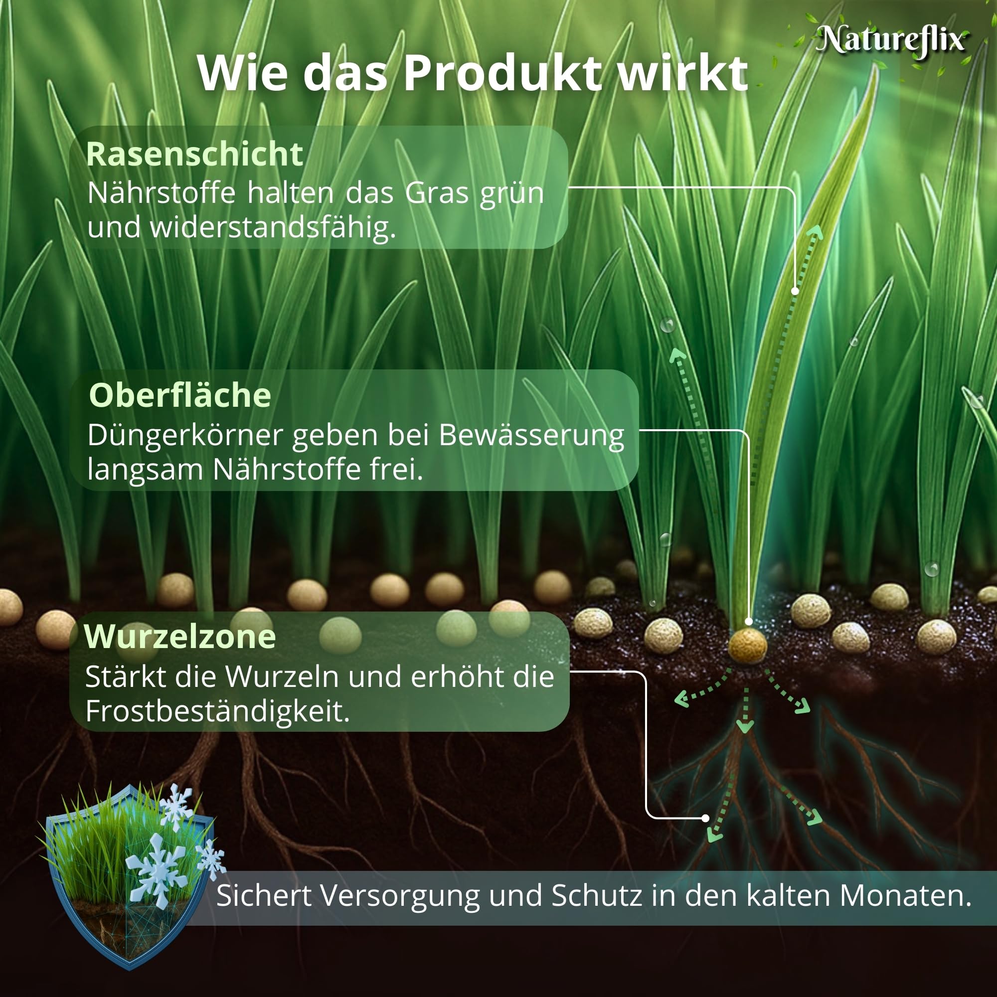 Herbstdünger Rasen | Herbstrasendünger staubarm | mit Winterschutz | Körnung 2–5 mm | Rasendünger Herbst ist Kind- & tierfreundlich (Herbstdünger, 20kg für 1000m²)