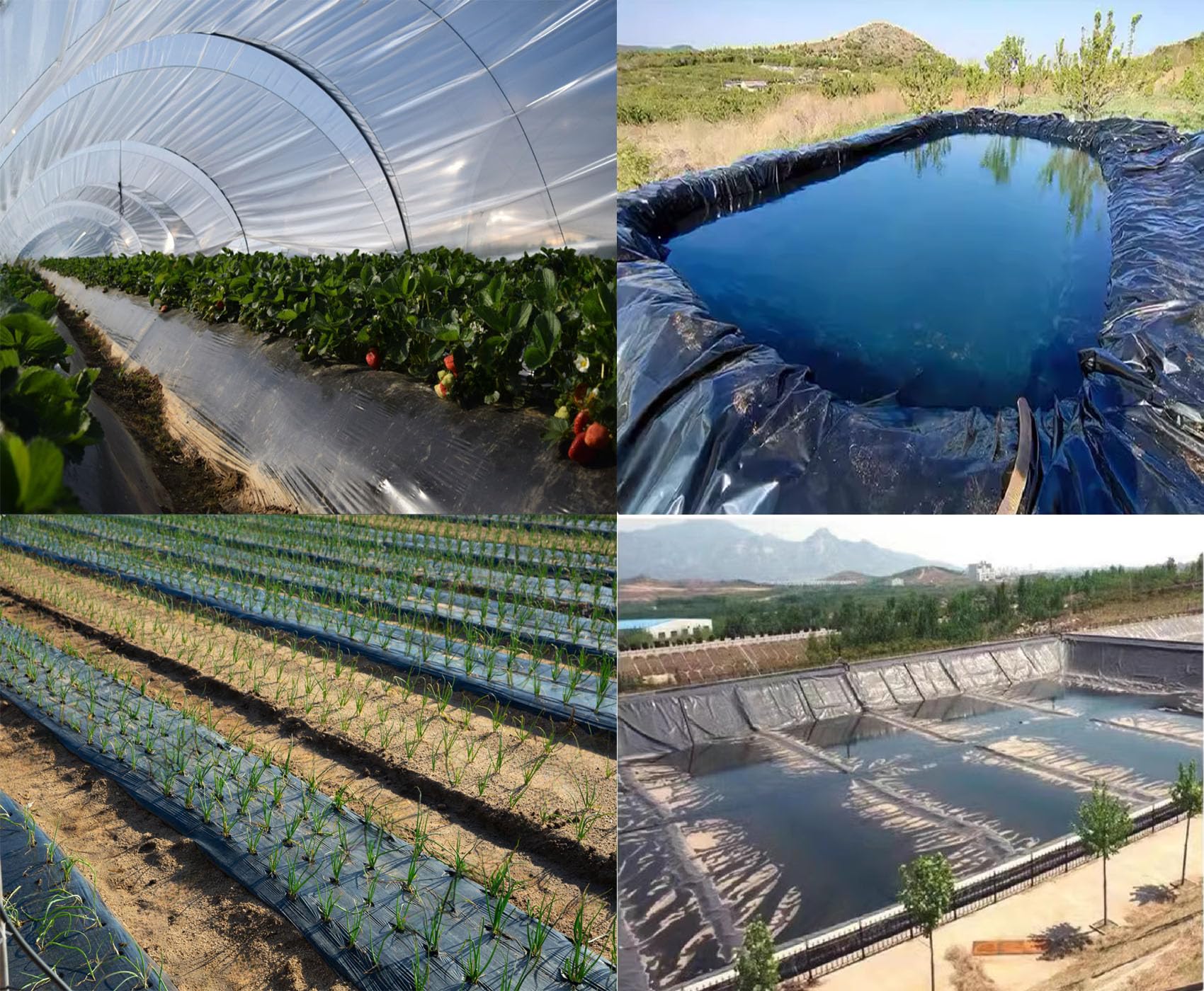 Plastico Negro Para Huerto Hikrxya 2 X 10M Plasticos Para Invernaderos  Negro - Espesar Polietileno De Efecto Invernadero De Plastico Película  Negro De Protección Las Plantas Láminas Jardín Plastico Antihierbas Para  Huerto, image size:1700x1400