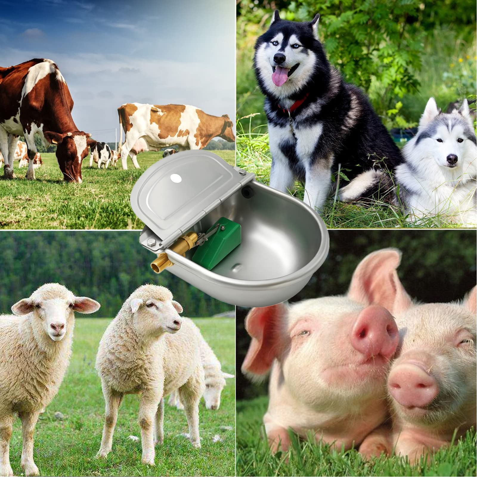 Abbeveratoio automatico in acciaio inox con valvola galleggiante per cani, cavalli, capre, pecore