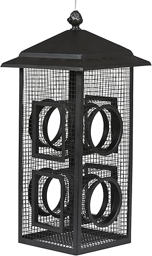 Miniatura 3 de Perky-Pet B00303 - Comedero para pájaros salvajes 1 paquete color negro