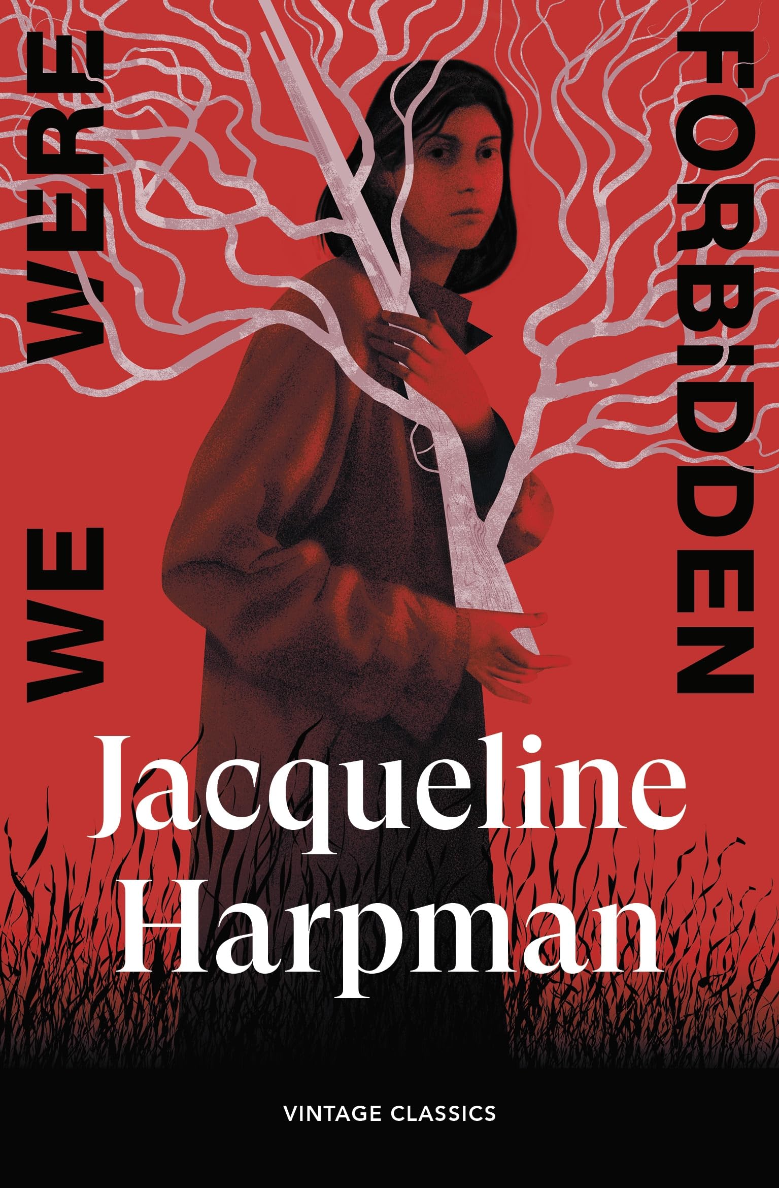 We Were Forbidden: Three newly-translated stories of female