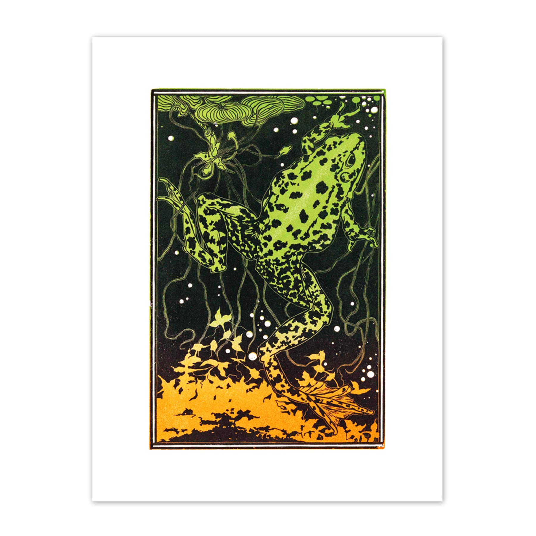 Wee Blue Coo Swimming Frog Julie De Graag Art Print Canvas Premium Wall Decor Poster