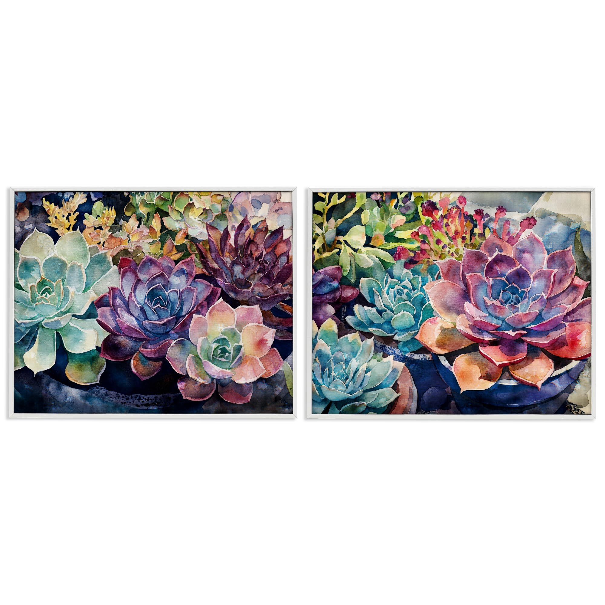 Sunny Watercolor Succulents, 16 x 20 Inch Framed Giclée Print Set
