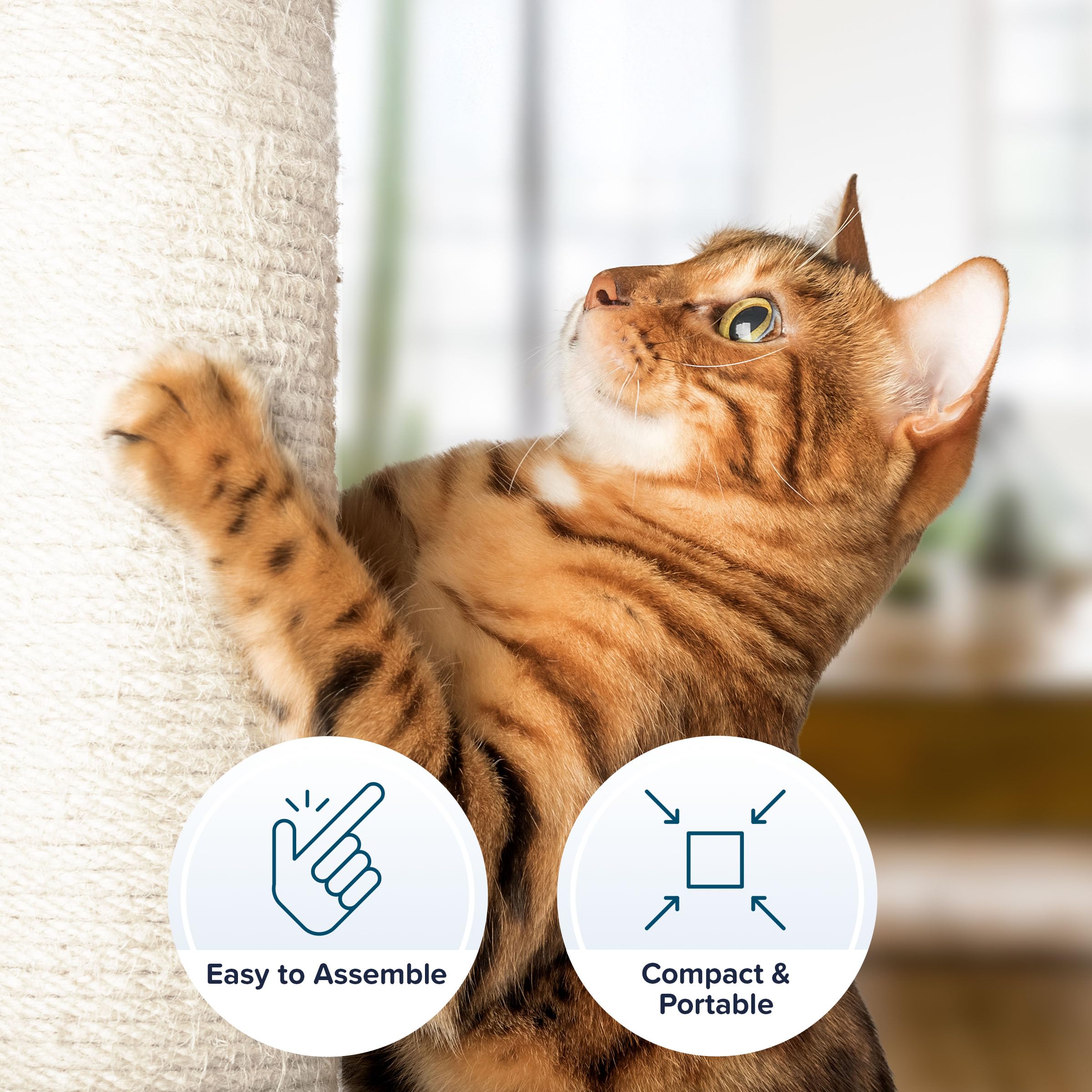 19-Inch Cat Scratching Post with Hammock ? Sisal Fabric and Carpet Small Cat Tree, Hanging Ball Toy for Adult Cats and Kittens by PETMAKER (White) 2