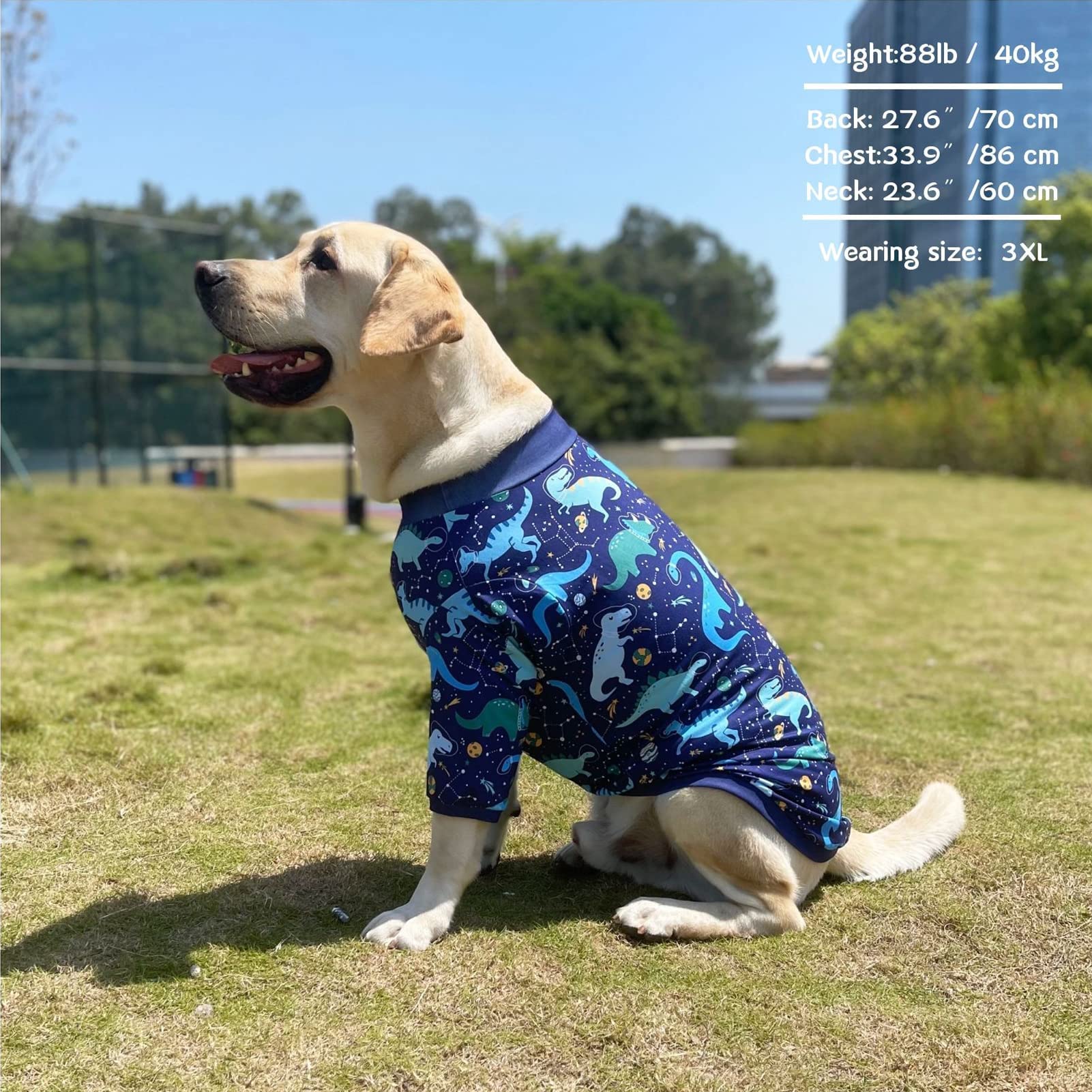 View 5