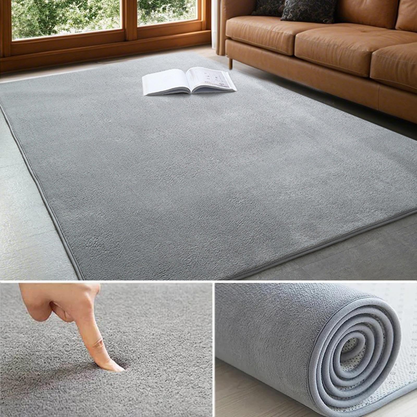 Tapis de salon en velours corail doux 100 x 150 cm gris pour chambre