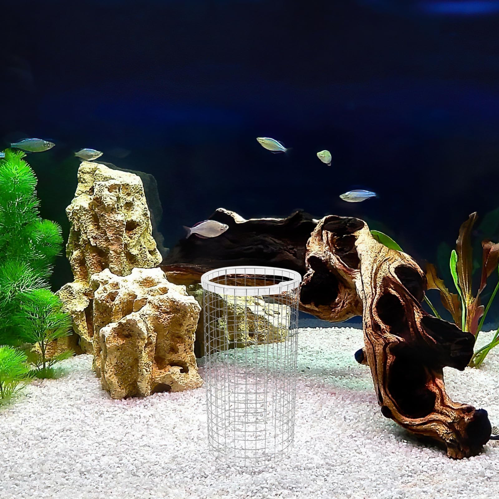 Alasum Rejilla de Cono de Desove para Acuarios de Hierro Plata, Fácil de Usar y Decorativa, Adecuado para Cría de Camarones y Peces Pequeños en Tanques de Reproducción