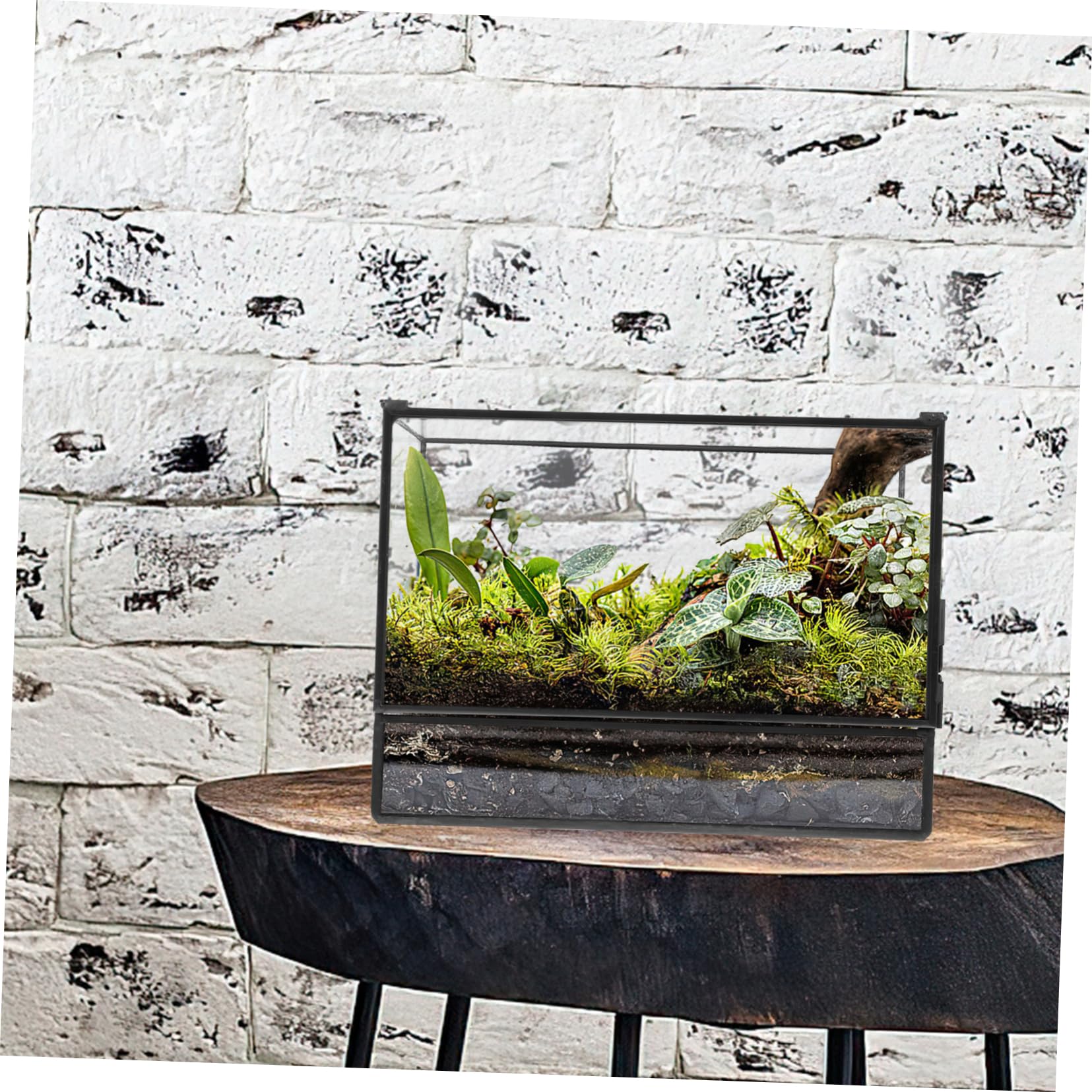 Handgefertigtes Geometrisches Glas Terrarium mit Glatter Oberfläche für Pflanzen und Moos Kleines Terrarium für Wohnzimmer und Tischdekoration
