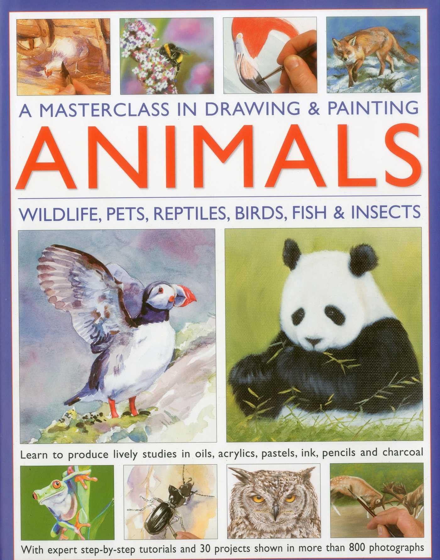 A Masterclass in Drawing and Painting Animals (Masterclass in Drawing/Paintng): Wildlife, Pets, Reptiles, Birds, Fish & Insects