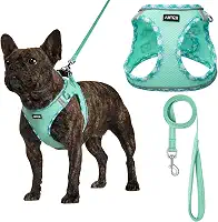 AMTOR Coleira Peitoral para Cachorros com Guia, Arnês Reflexivo Ajustável para Filhotes com Colete Acolchoado para Cães e Gatos, S (Verde claro)