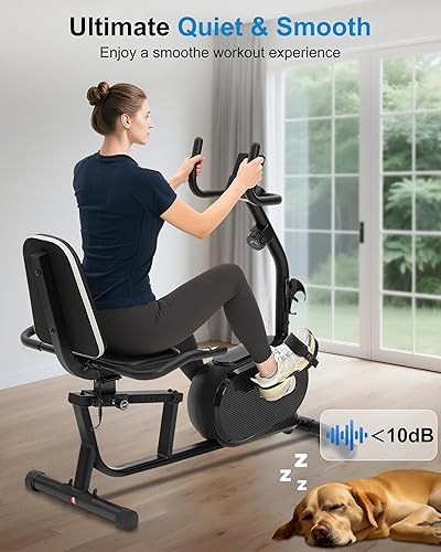 Miniatura 3 de ECHANFIT Bicicleta estática reclinada para el hogar, capacidad de peso de 380 libras, bicicleta estática con aplicación de entrenamiento