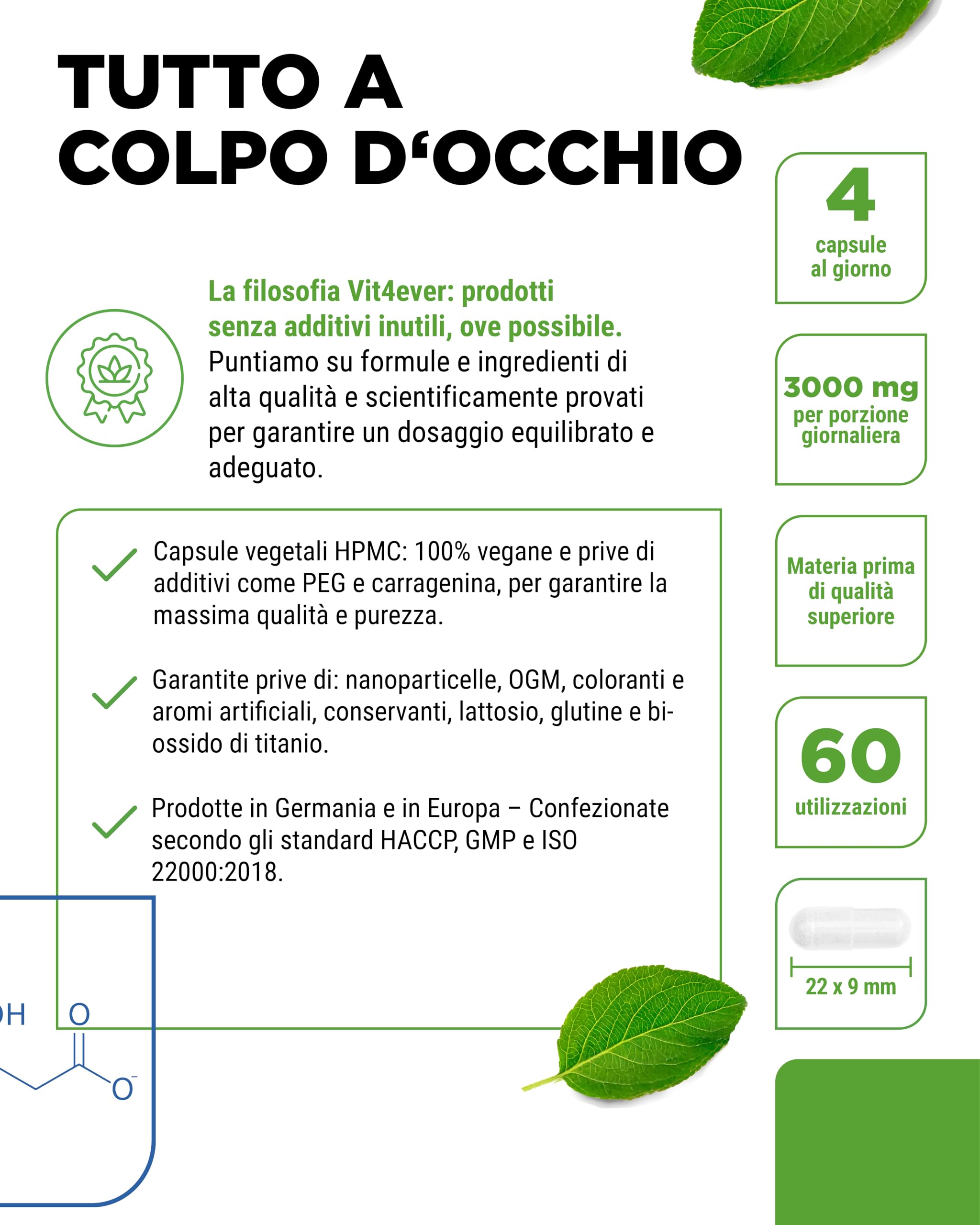 L-Carnitina - 240 Capsule - Alto Dosaggio con 3000 mg per Porzione giornaliera - Premium: 100% L-Carnitina tartrato - Senza additivi - Senza glutine e senza lattosio - Vegano