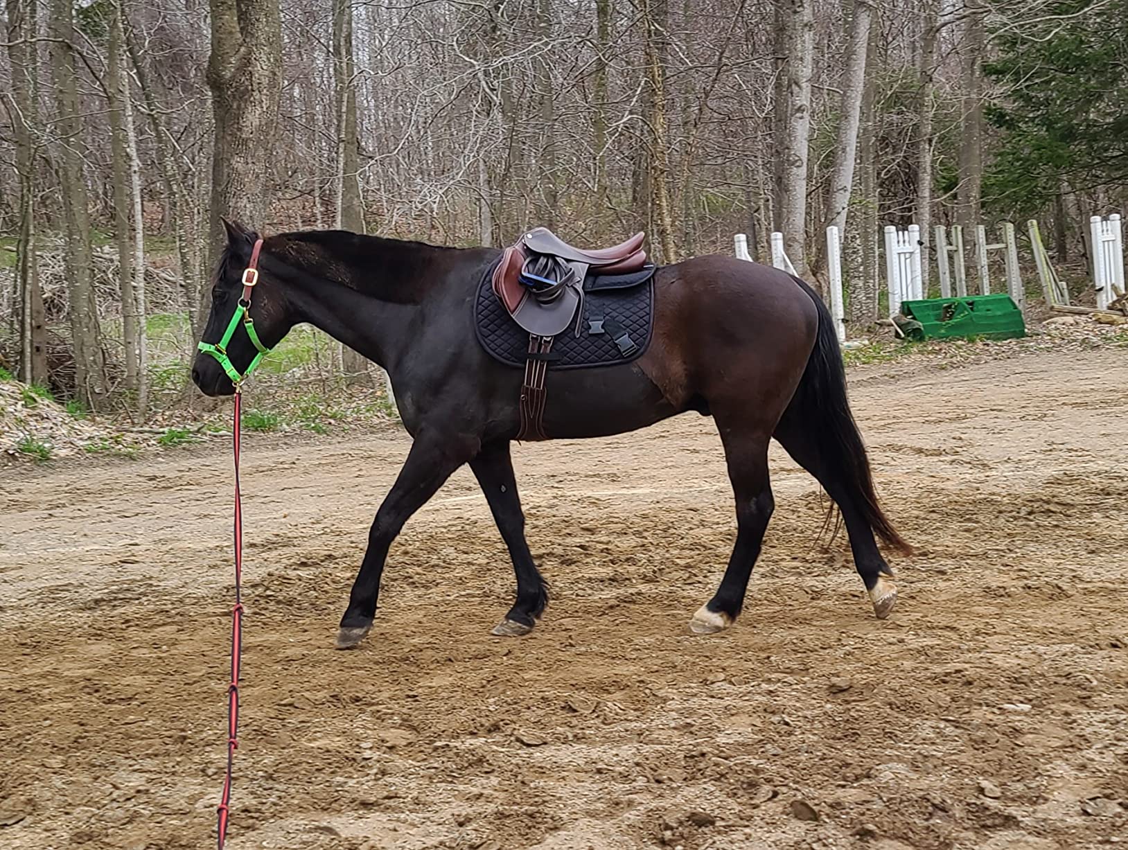 11/mo Finance ECP All Purpose Diamond Quilted Poly Cotton English