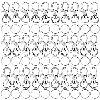 Amazon.com: Key Chain Swivel Hooks, Anezus 100pcs Keychain