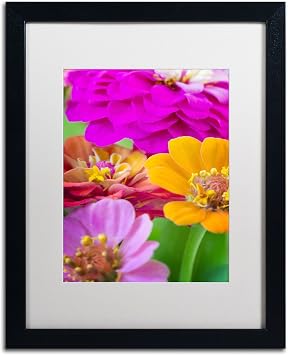 Trademark Fine Art Bouquet of Inias by Philippe Sainte-Laudy White Matte and Black Frame, 16 by 20-Inch