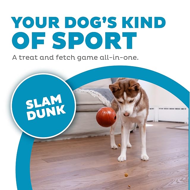 Foto 3 de 8 de Planet Dog Orbee-Tuff - Juguete con dispensador de recompensas para perros - Pelota de baloncesto