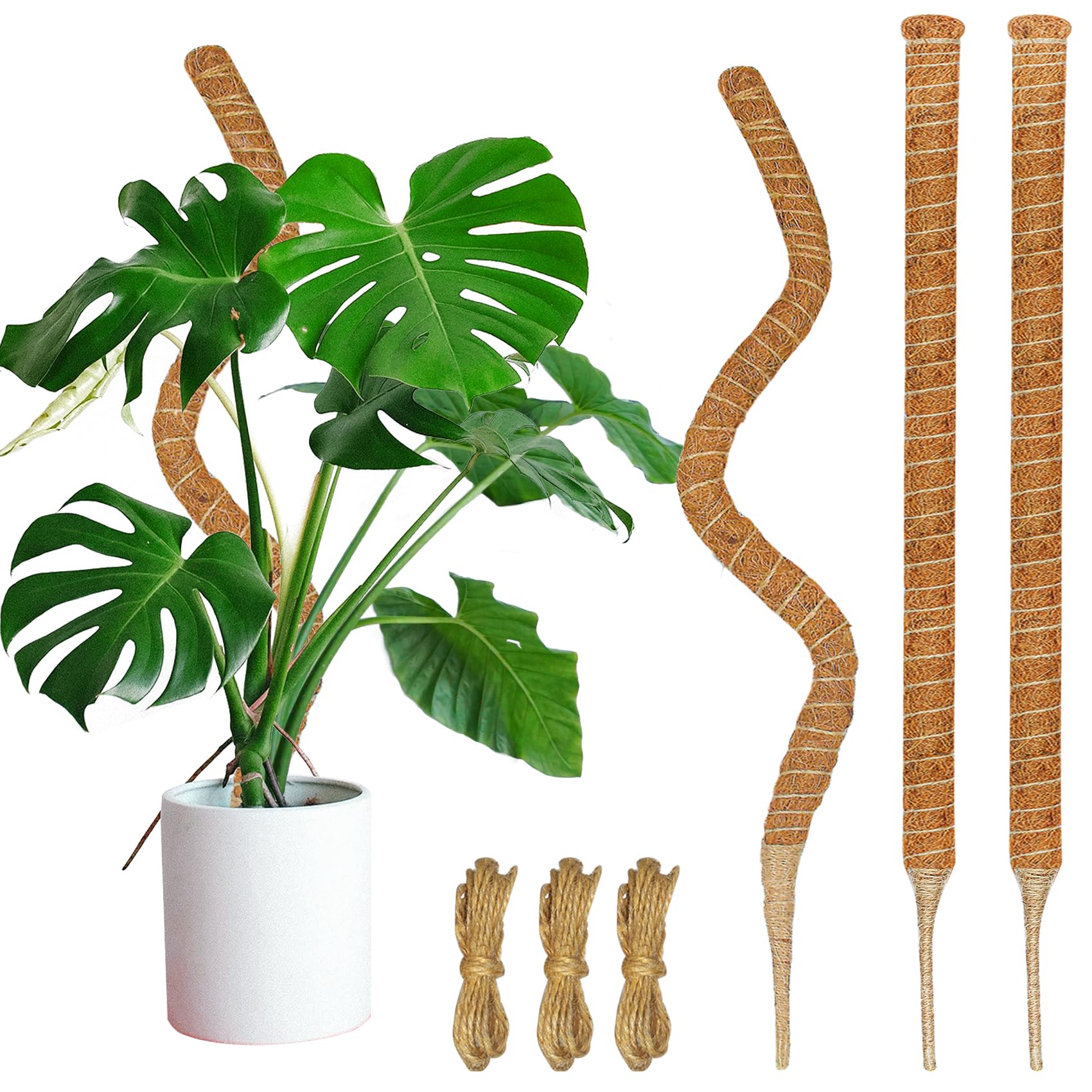 Piquet de support en mousse 90cm pour plante grimpante d'intérieur et monstera en pot