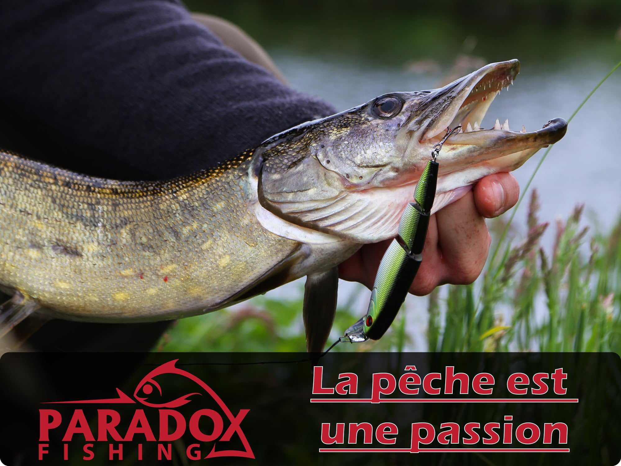 Paradox Fishing PX Tresse Peche 8 brins I 0,07mm à 0,28 mm 150m/500m I étroitement tressés -Tresse de Peche