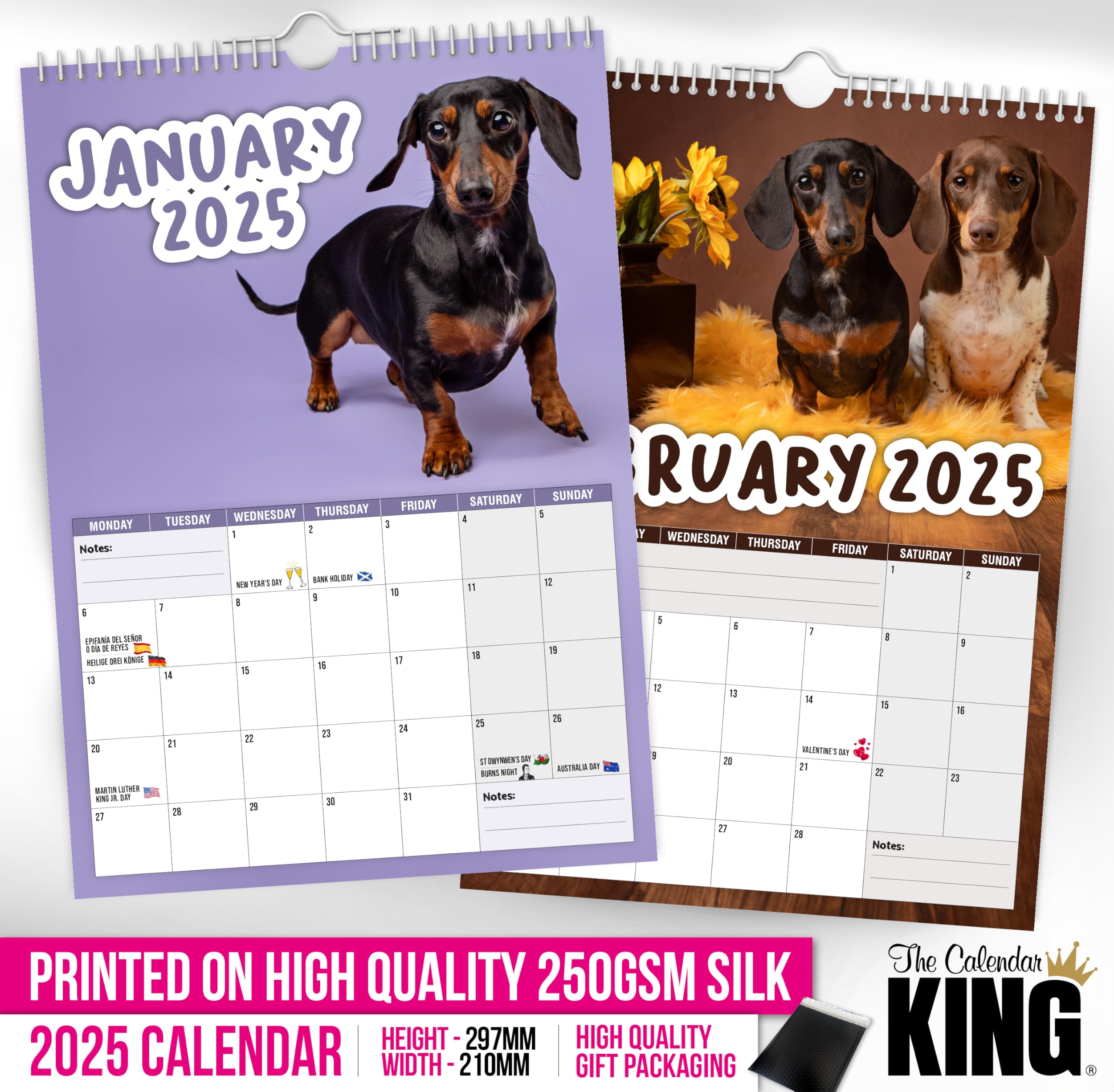 The Calendar King // Cheeky Dachshunds - 2026 Wall Calendar (Full Colour, A4 Size) *** - Image 2