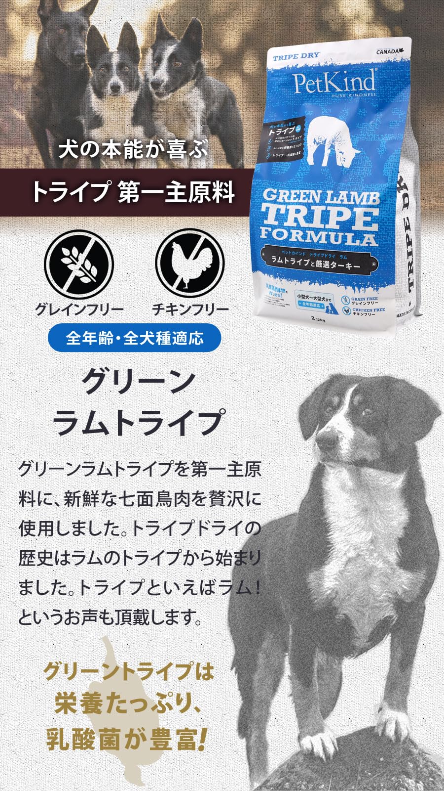 ペットカインド トライプドライ ベニソン トライプフォーミュラ