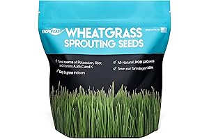 WHEATGRASS SEEDS | NON GMO | GROWN in USA WHEAT GRASS SEEDS...