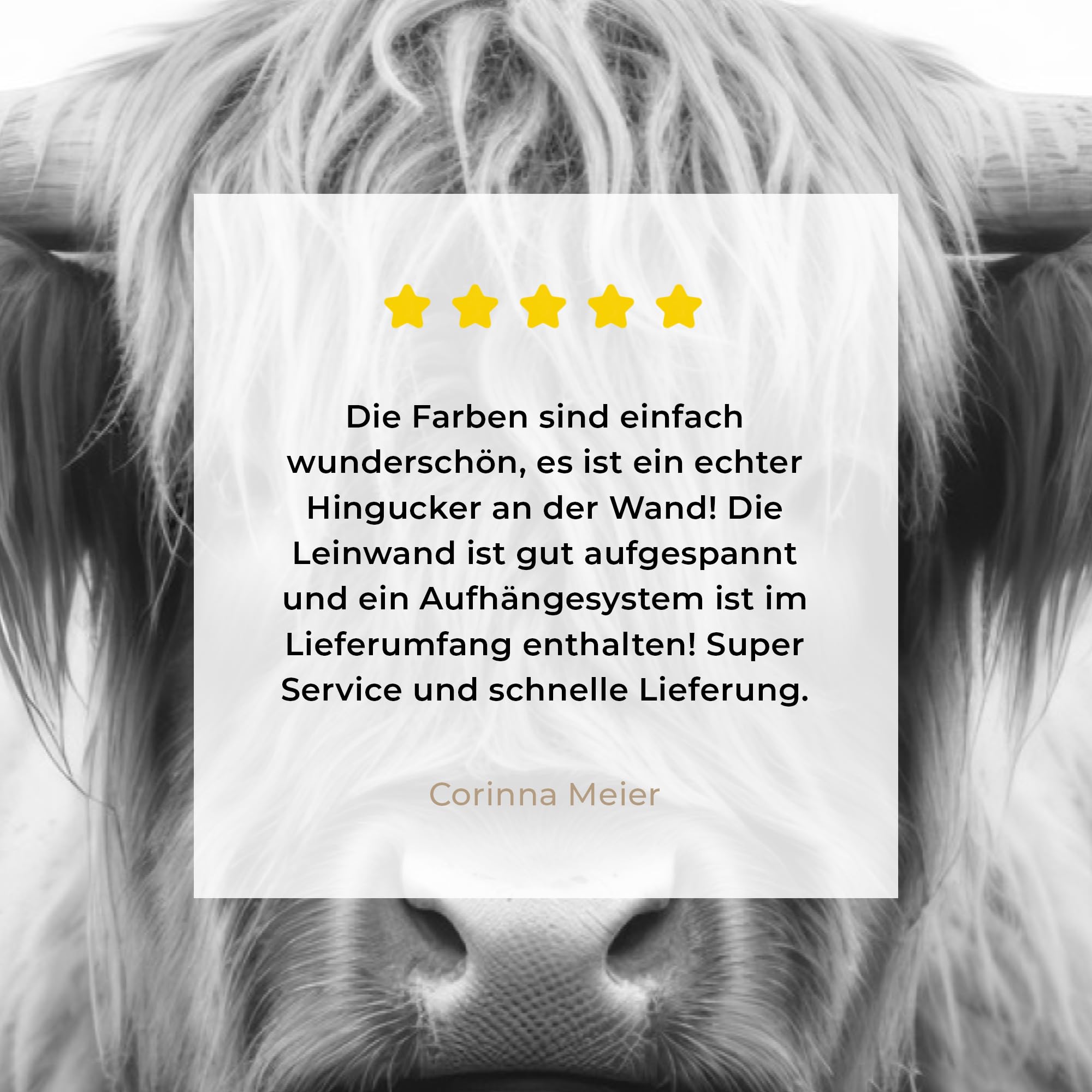 MuchoWow Bild auf Leinwand 120x80 cm XXL Wanddeko Highland Cow Schottisches Hochlandrind
