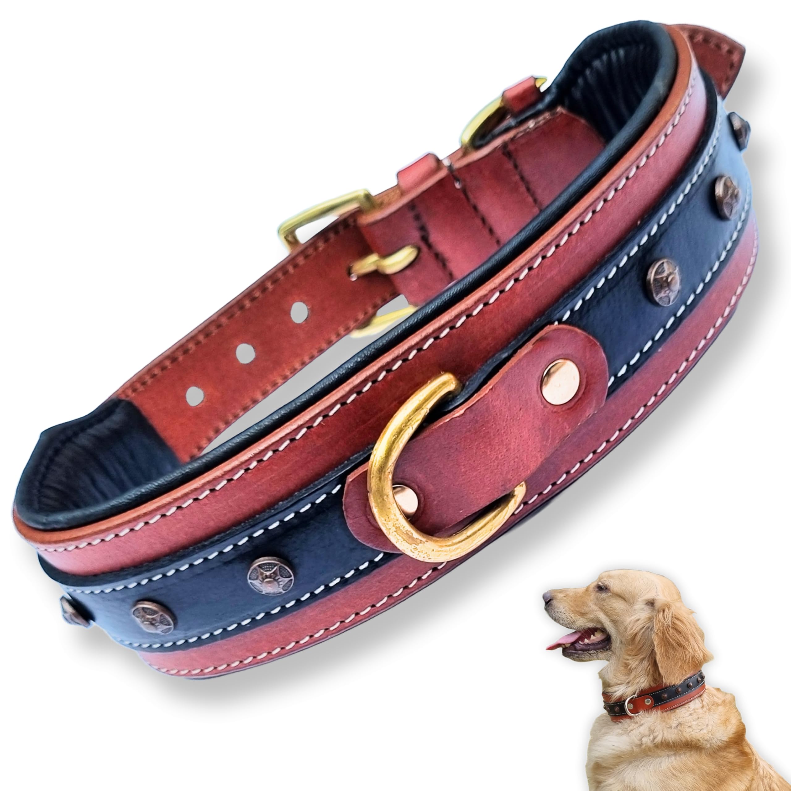 Bruby Premium Leather Dog Collar with Soft Padding and Brass Studs, Dog Neck Belt, Dog Belt, Genuine Leather Collar for Dog, 2 inch Width (Large) (B0D1GS3RFV) Amazon Price History, Amazon Price Tracker