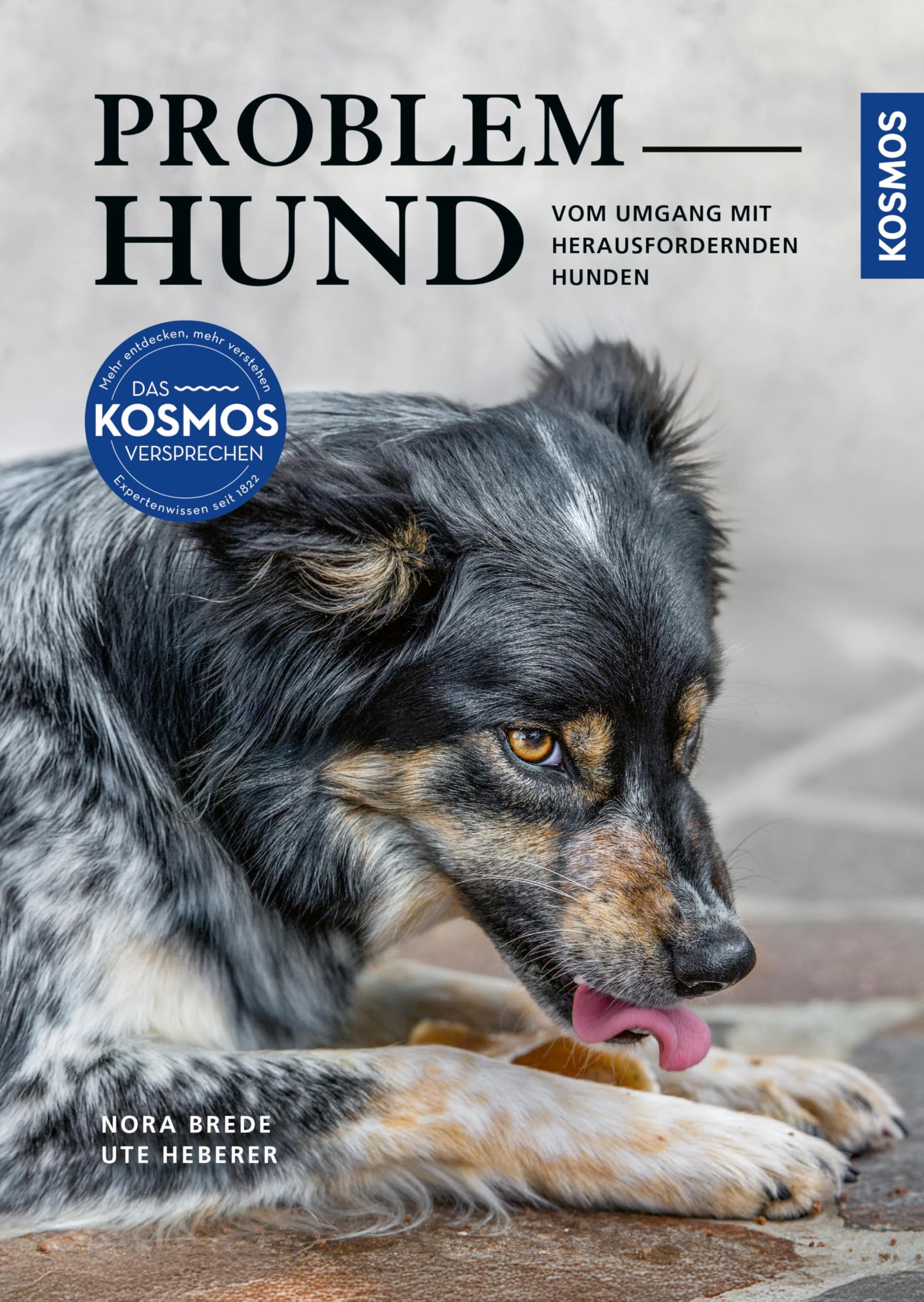 Problem Hund: Vom Umgang mit herausfordernden Hunden