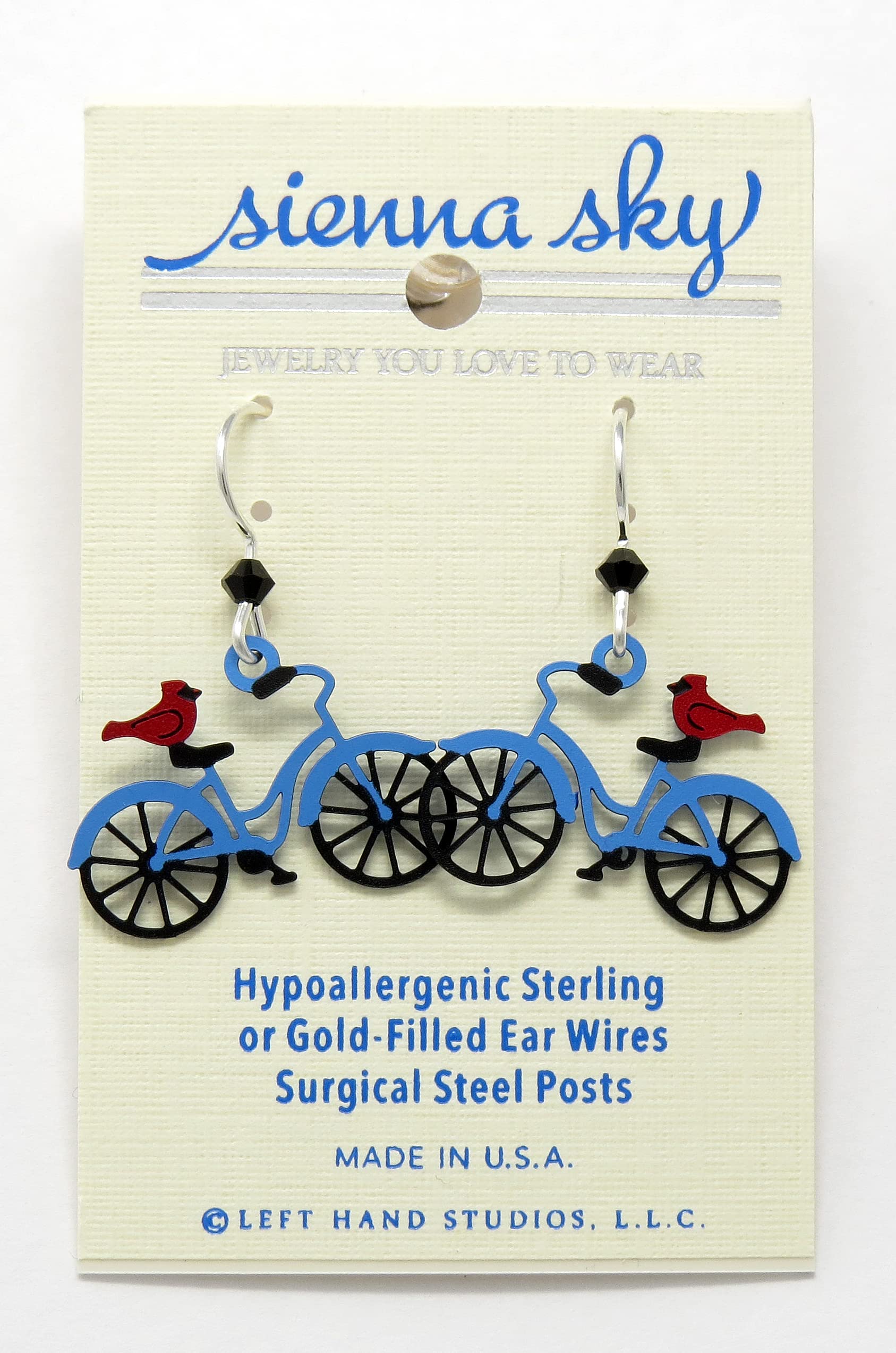 Cardinal on Blue Bike