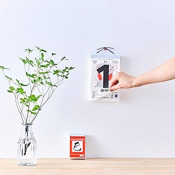 新政 No.6 2025 New Year-type N-type 新政 No.6 2025 New Year-type N-type