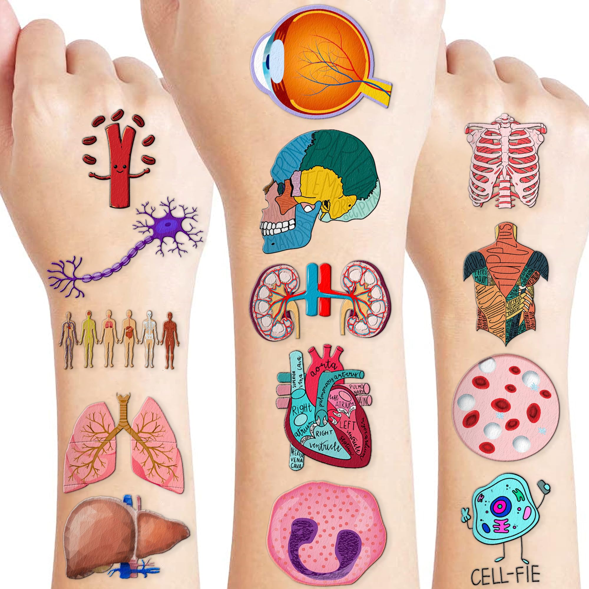 96 PCS Funny Anatomy Human Body Part Tattoos Theme Birthday Party Supplies Decorations Favors Decor Cute Brain Physiology Science Tattoo Stickers Gifts for Games Kids Girls Boys School Prizes Carnival