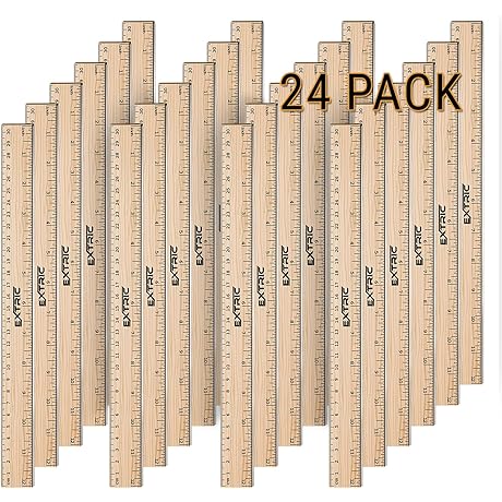 24 Durable Plastic Metric and Standard Rulers for School and Office Supplies