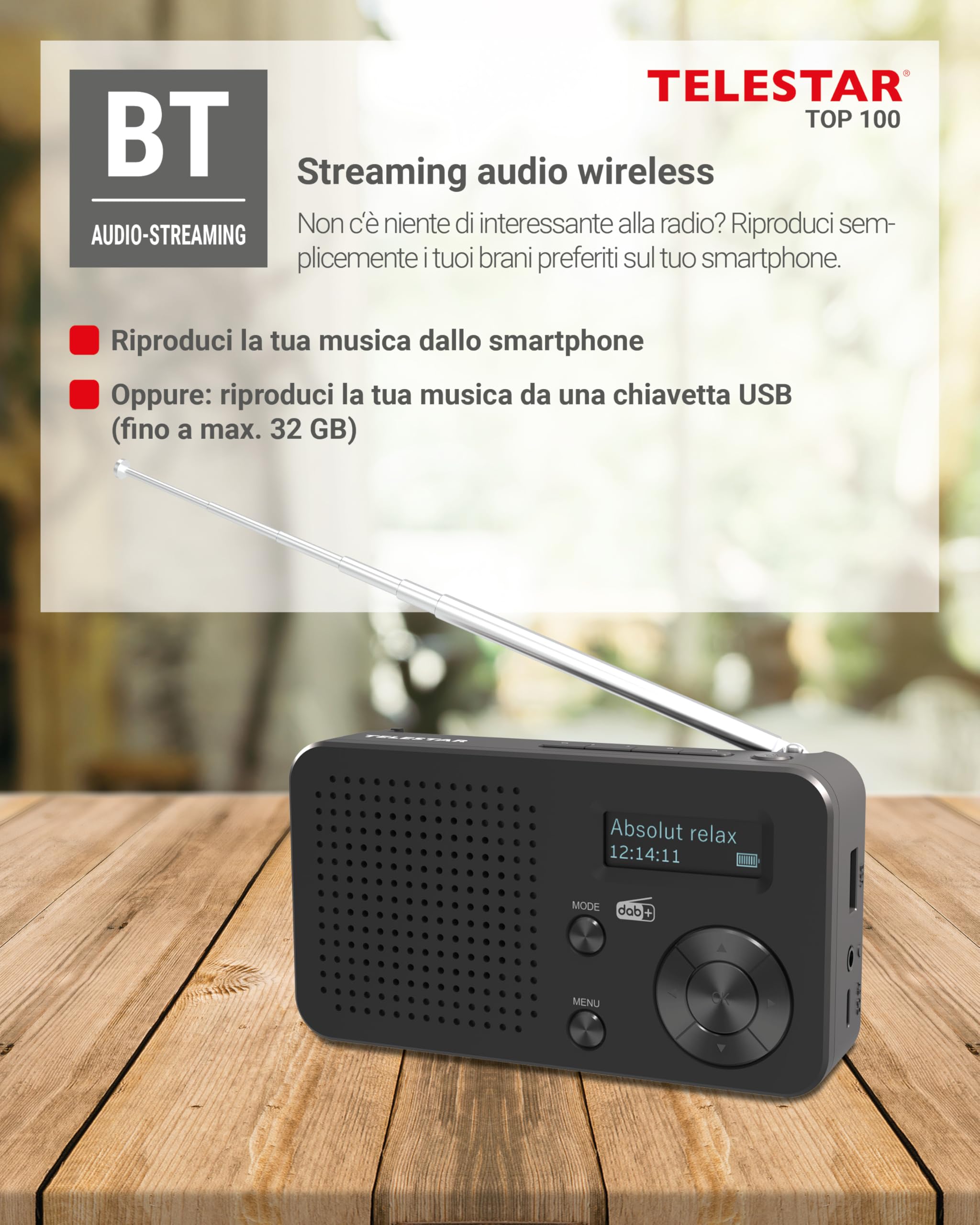 TELESTAR TOP 100 – Radio portatile DAB+/FM con batteria ricaricabile – Nero | Batteria sostituibile, fino a 15 h di autonomia, ricarica rapida, streaming Bluetooth e lettore USB