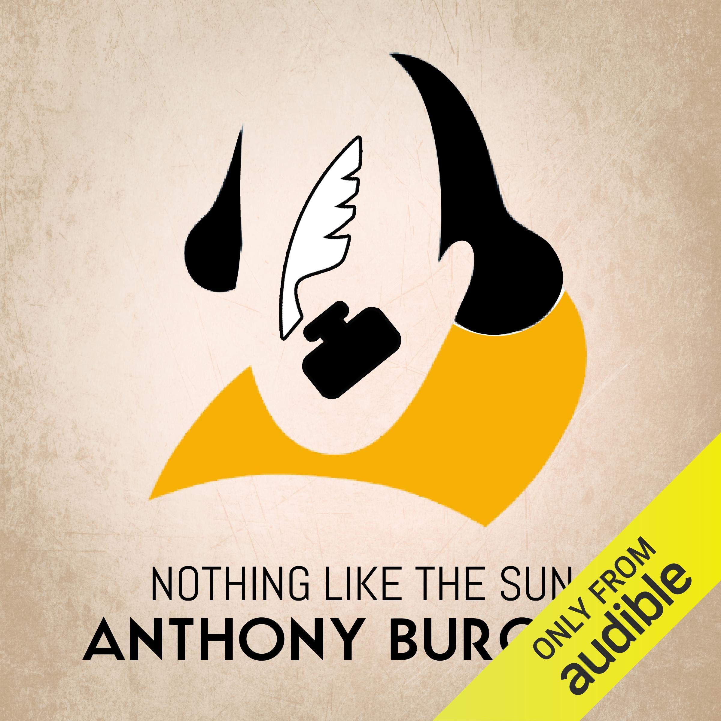 Nothing Like the Sun