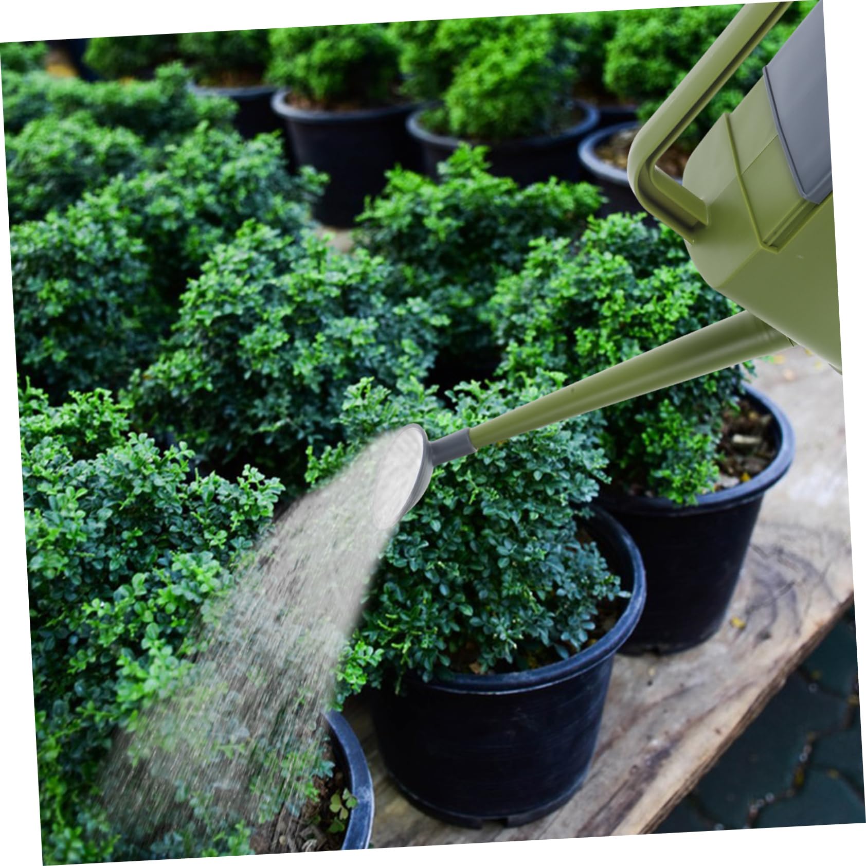 Toddmomy Annaffiatoio Per Piante Da Interno Annaffiatoio Per Fiori Vaso Per Annaffiare Bollitore Per Annaffiare Piante e Fiori Realizzato in Pp Resistente e Bonsai
