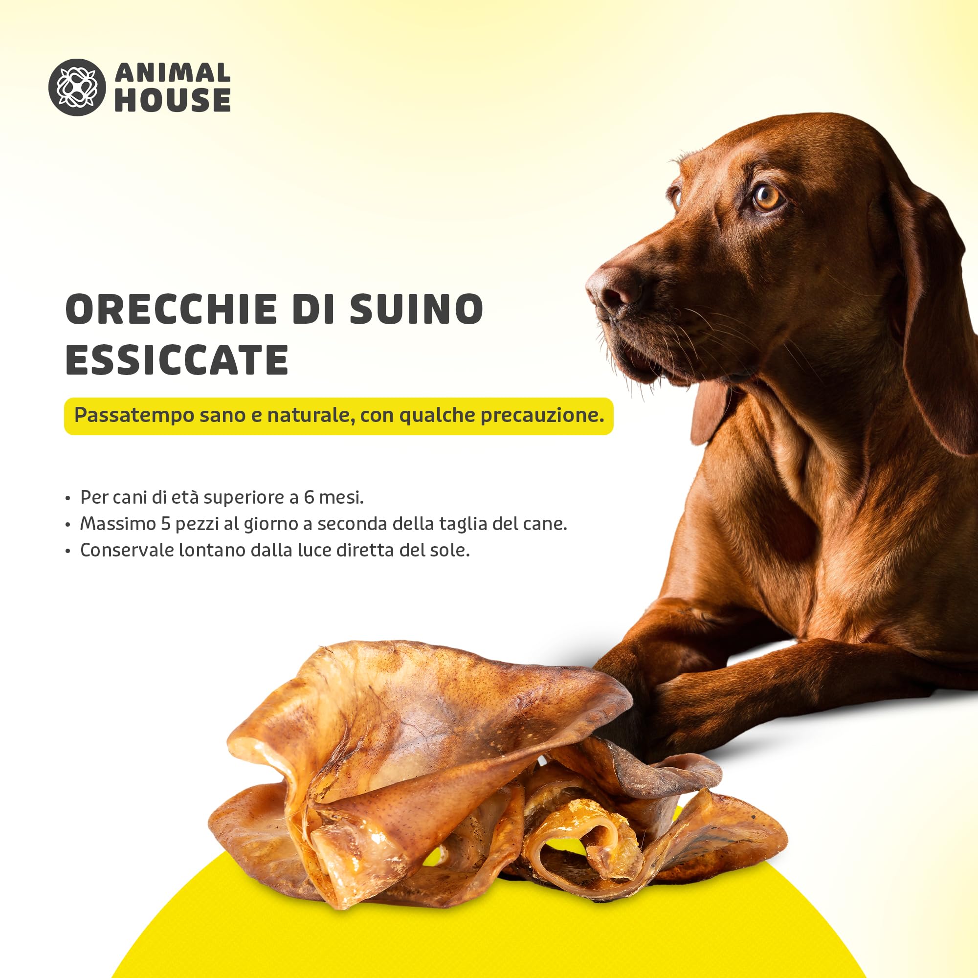 Animal House - Snack Naturale per Cani BARF alle Orecchie Suine, Delizia Proteica Europea per il Benessere del Tuo Amico a Quattro Zampe (500 GR, ORECCHIE SUINE)