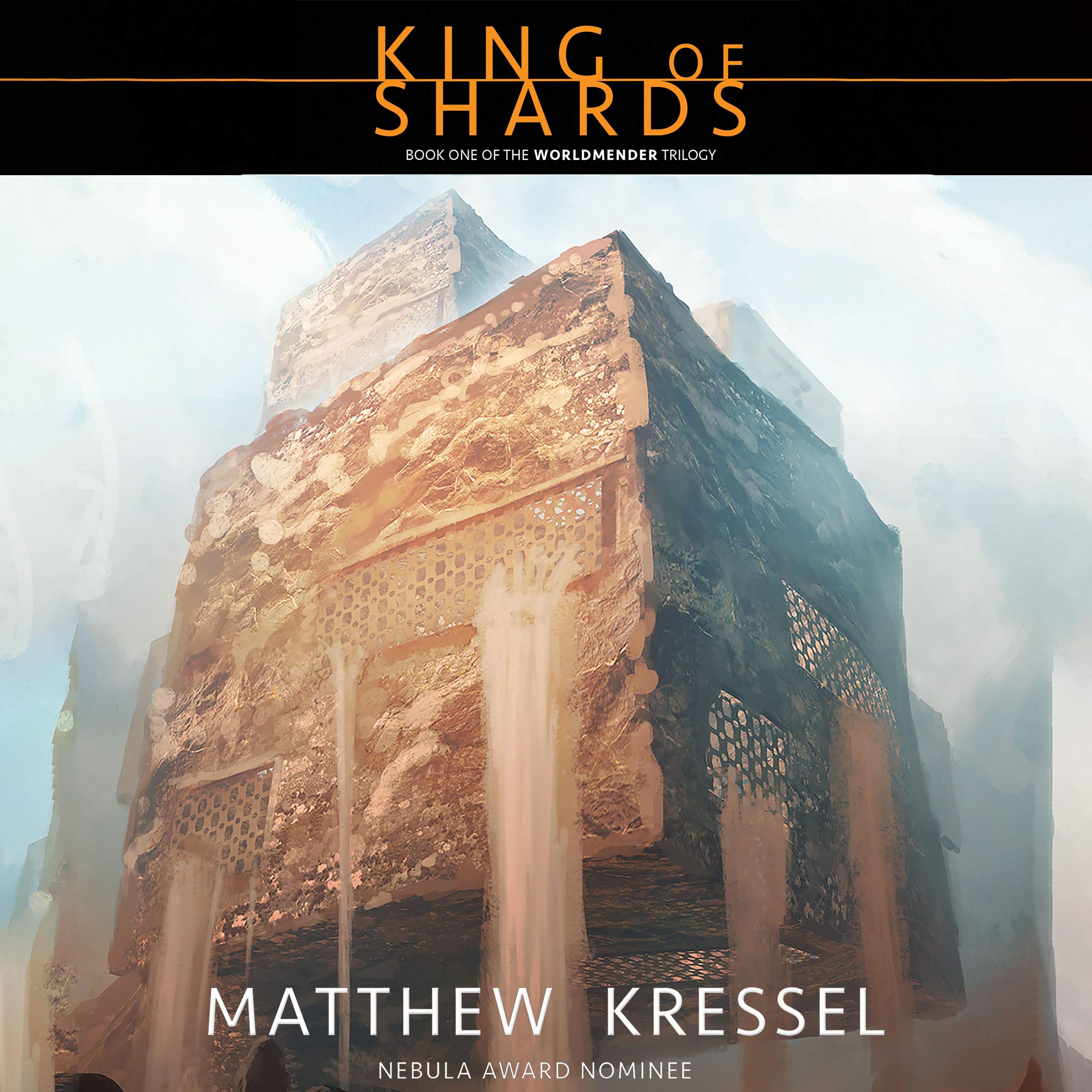 Cover art for King of Shards